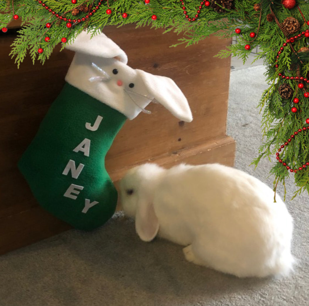 Red Personalised Bunny Christmas Stocking